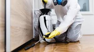 Real Estate Pest Inspections in Manhasset Hills, NY